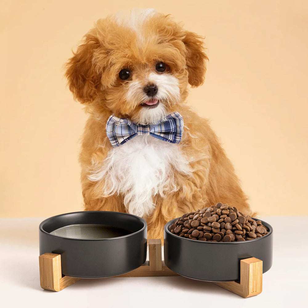 Mowtanco durable black ceramic finish withstands daily pet use.