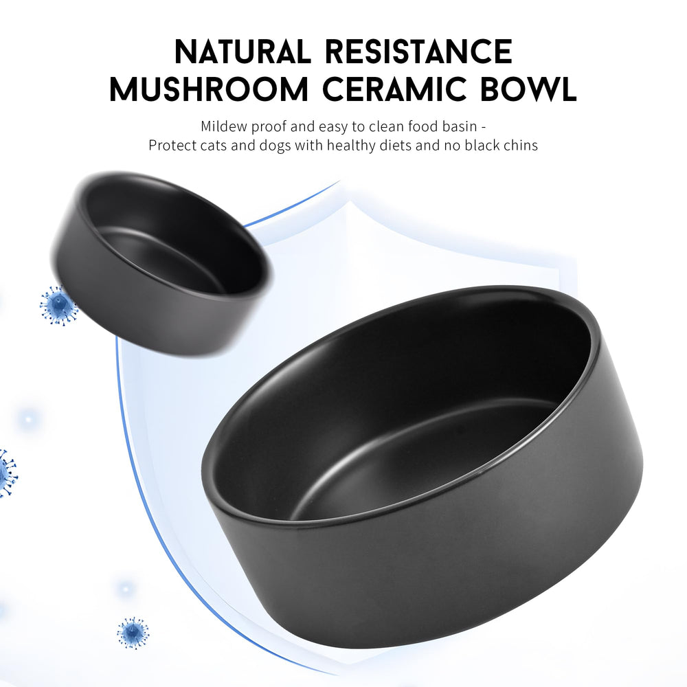 Mowtanco 13.5 oz food bowl in black ceramic for measured meals.