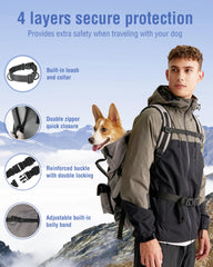 Moysoon dog backpack back view highlights breathable mesh and fitted torso support