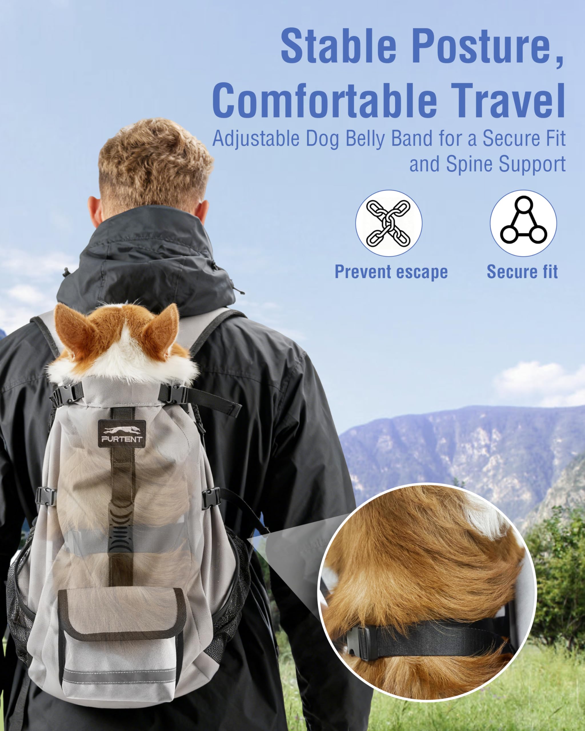 Moysoon interior tether clip keeps your dog secure during adventures