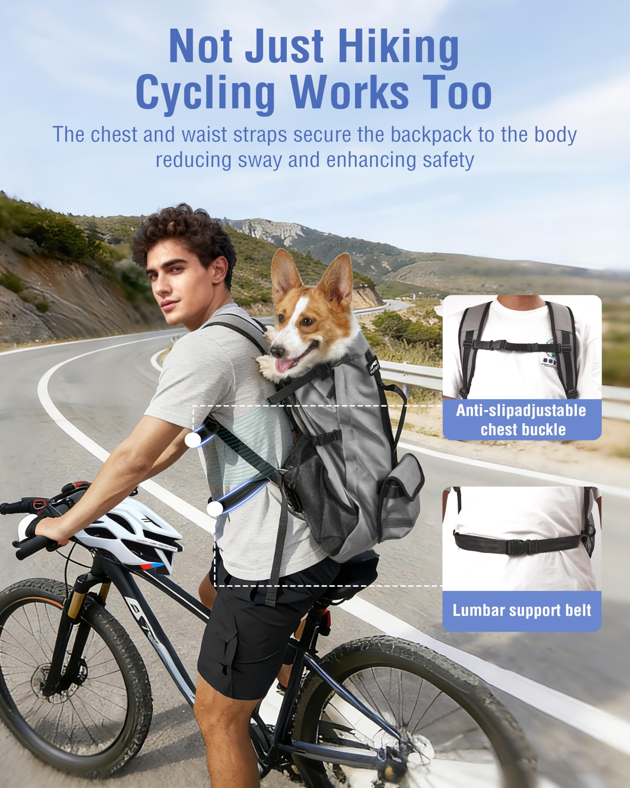 Moysoon small-dog backpack features padded straps for all-day comfort on long walks.