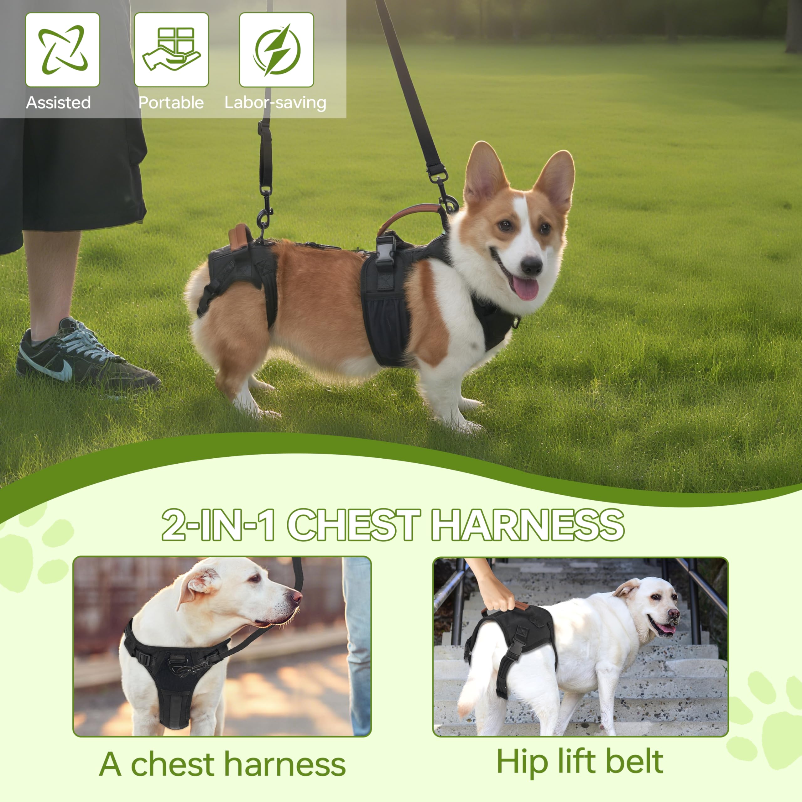 Moysoon Dog Lift Harness built with durable nylon for rugged outdoor use