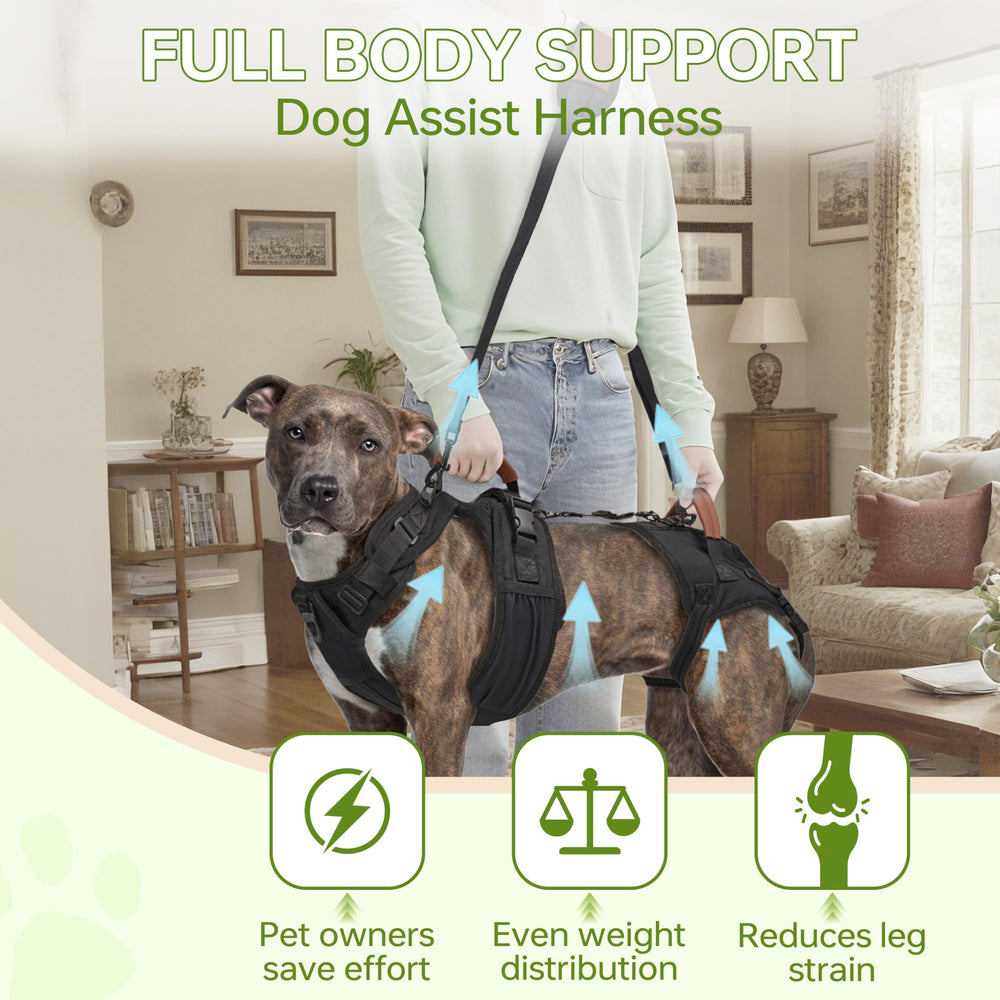 Moysoon Dog Lift Harness hip lift strap attached for stairs and car assistance