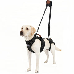 Moysoon Dog Lift Harness shows quick-adjust fit for secure daily walks