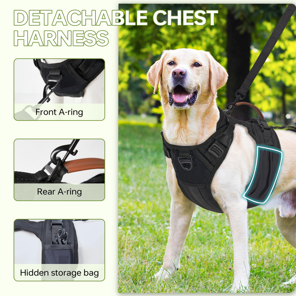 Moysoon Dog Lift Harness use during stairs or travel demonstrates versatile safety aid