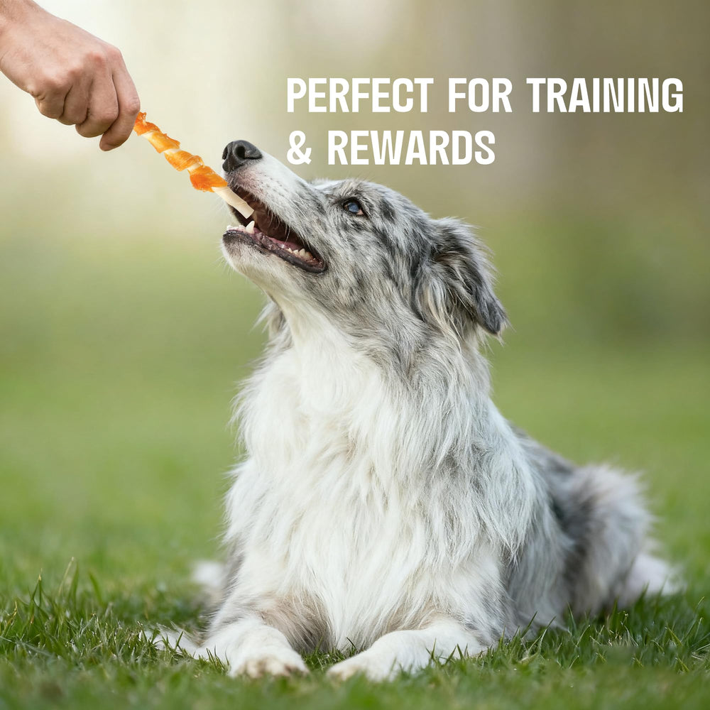 M-PETS recompensa diaria para entrenamiento y juego.
