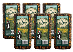 Mr. Bird Woodpecker Feast cylinder 6-pack front view for year-round bird feeding