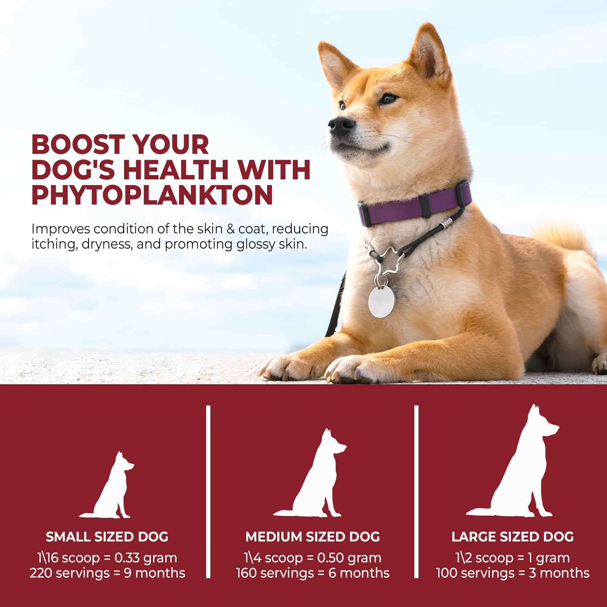 Mr Ros marine phytoplankton powder promotes calm energy for walks and play.