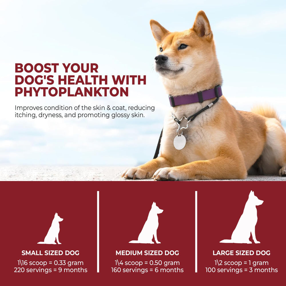 Mr Ros marine phytoplankton powder promotes calm energy for walks and play.