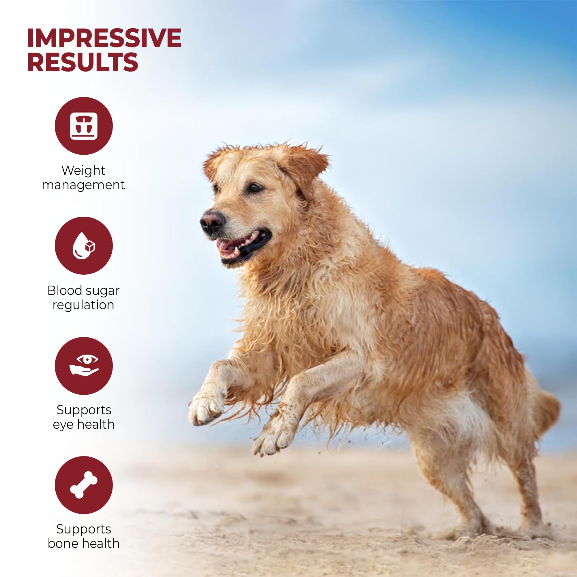 Mr Ros marine phytoplankton puppy-growth powder supports lean muscle development in puppies.