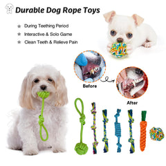 MRSOHRET treat ball challenges dogs and rewards interactive play