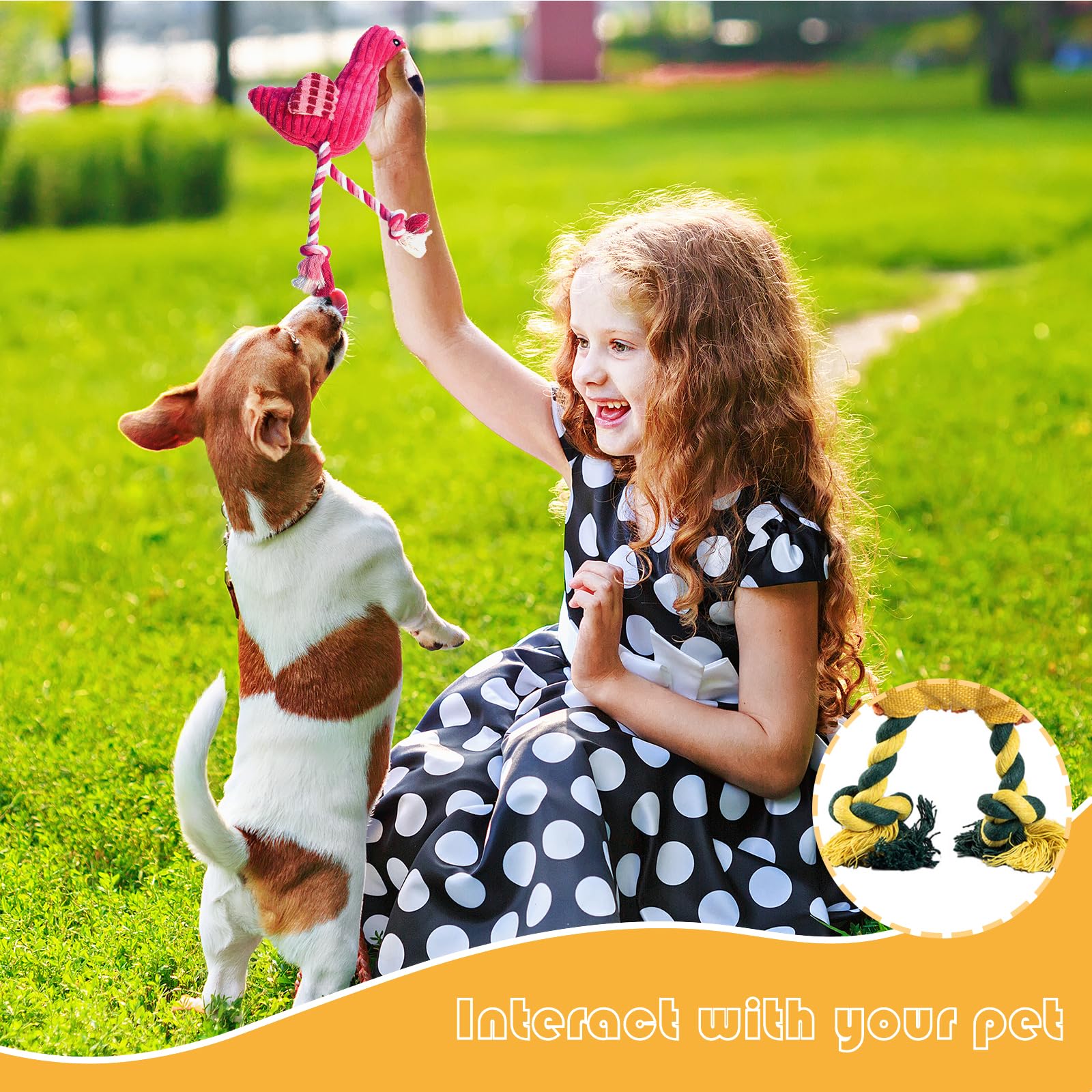 MRSOHRET plush dog toy five-pack offers varied options for enrichment.