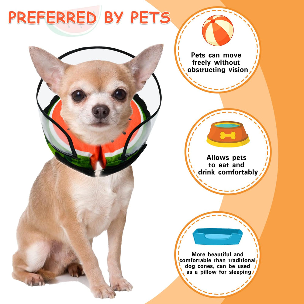 MRSOHRET watermelon dog recovery collar on a dog during rest