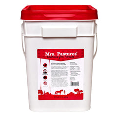 Mrs Pastures cookies for horses—crisp, dehydrated texture that stays fresh in your pocket.