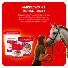 Mrs Pastures training-session snack supports focus during groundwork and mounting block practice.