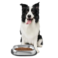 MRTIOO 304 stainless steel dog bowl with non-slip base for stable feeding.