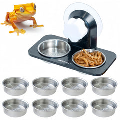 MRTIOO crested gecko feeding ledge mounted securely inside enclosure