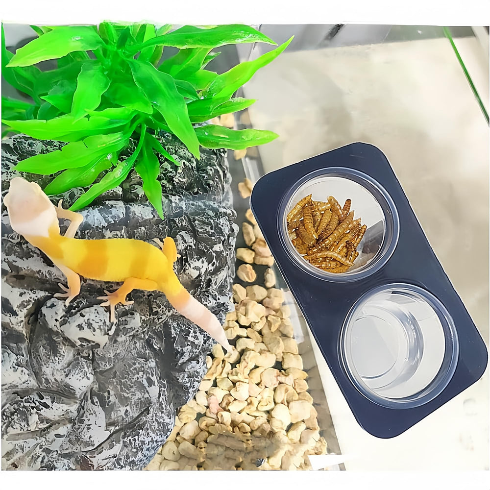 Cuenco de alimentación claro MRTIOO para reptiles, facilita ver la comida