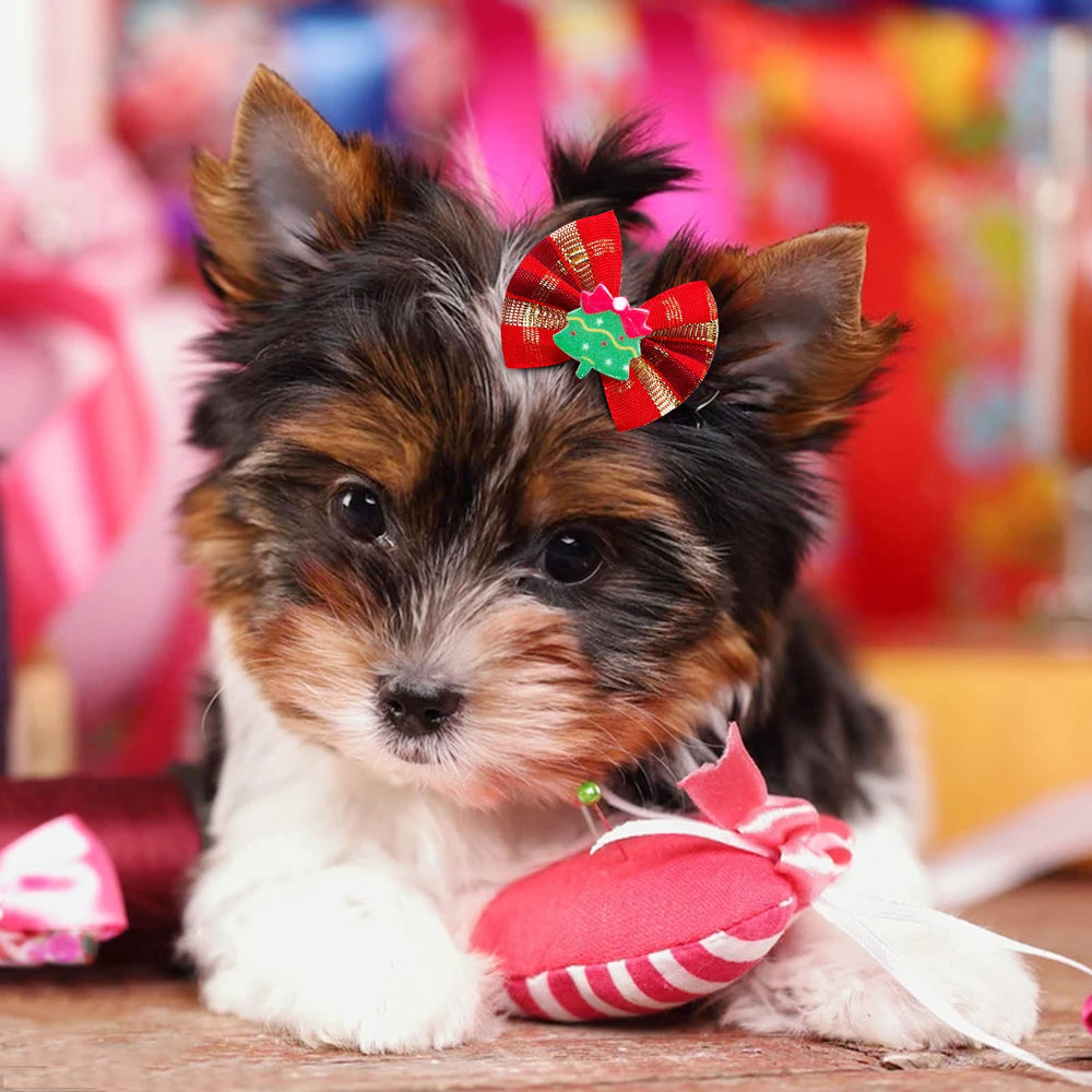 Mruq pet dog bows with rubber bands keep tiny styles secure during play.