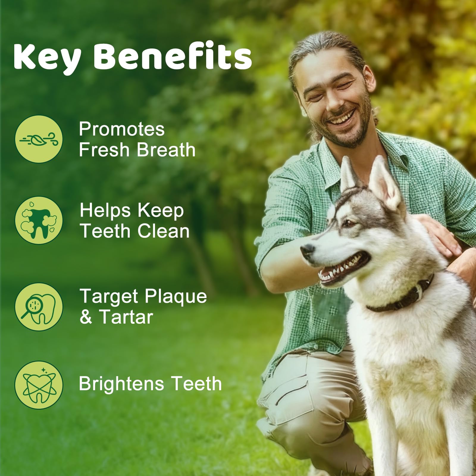 Mshuheene dental powder ingredients list highlights kelp and green tea for natural support.