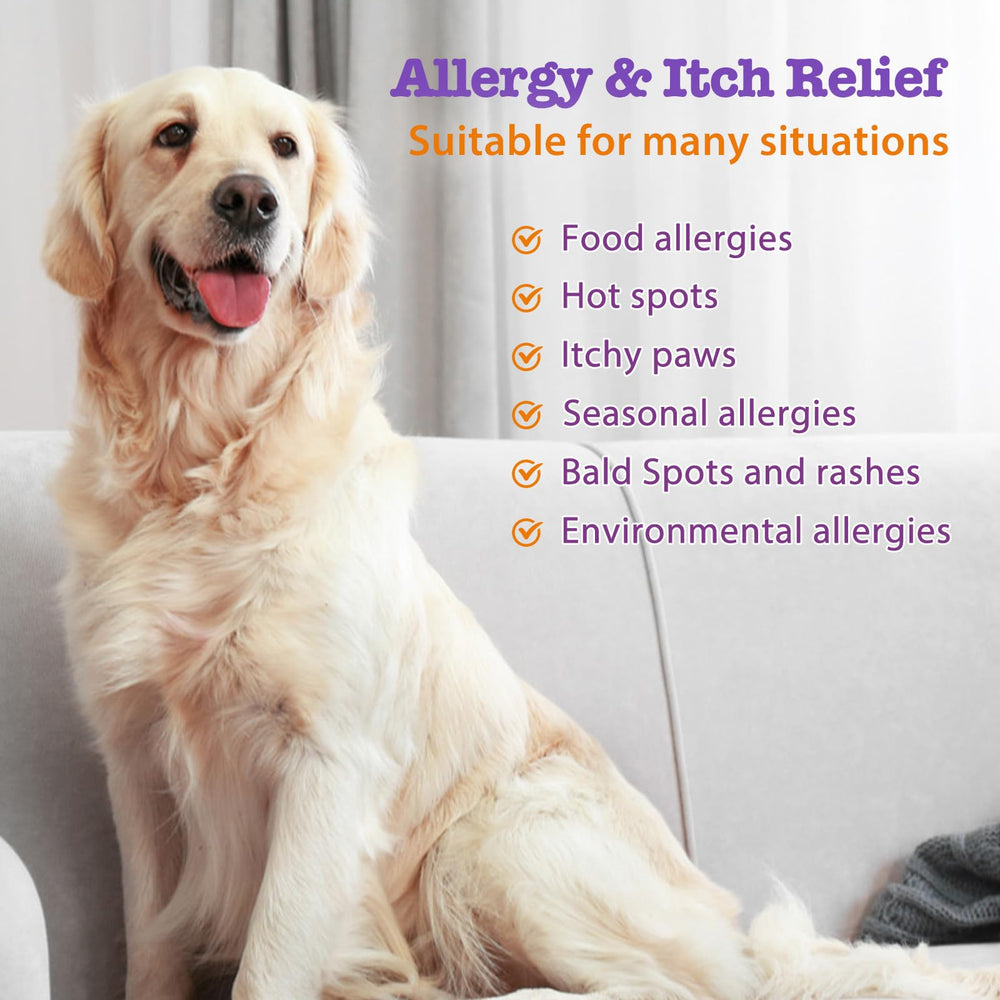 Mshuheene Dog Allergy Chews bottle closeup highlights natural ingredients and chicken flavor for easy dosing.