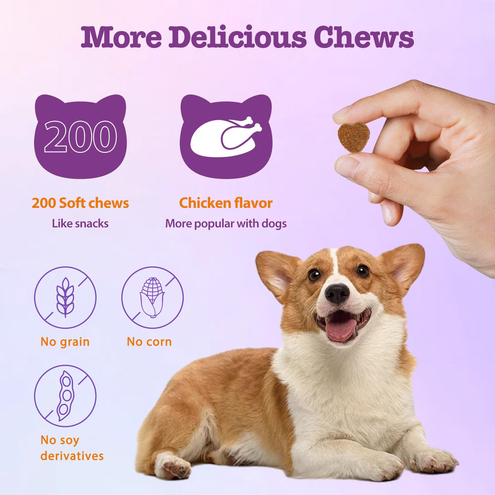 Mshuheene Dog Allergy Chews chicken flavor for easy administration.