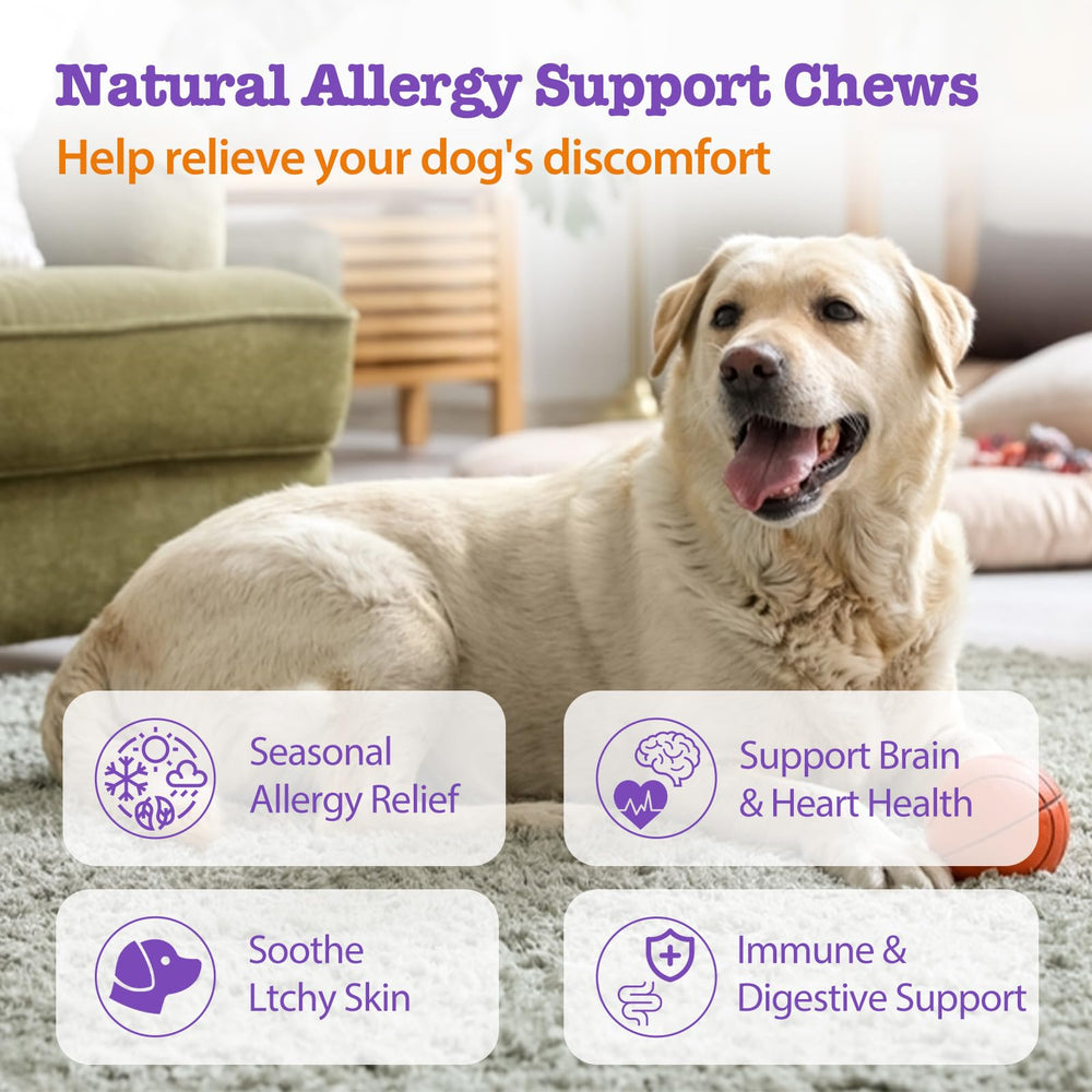 Mshuheene Dog Allergy Chews ingredients label highlights five probiotics and omega-3 support.