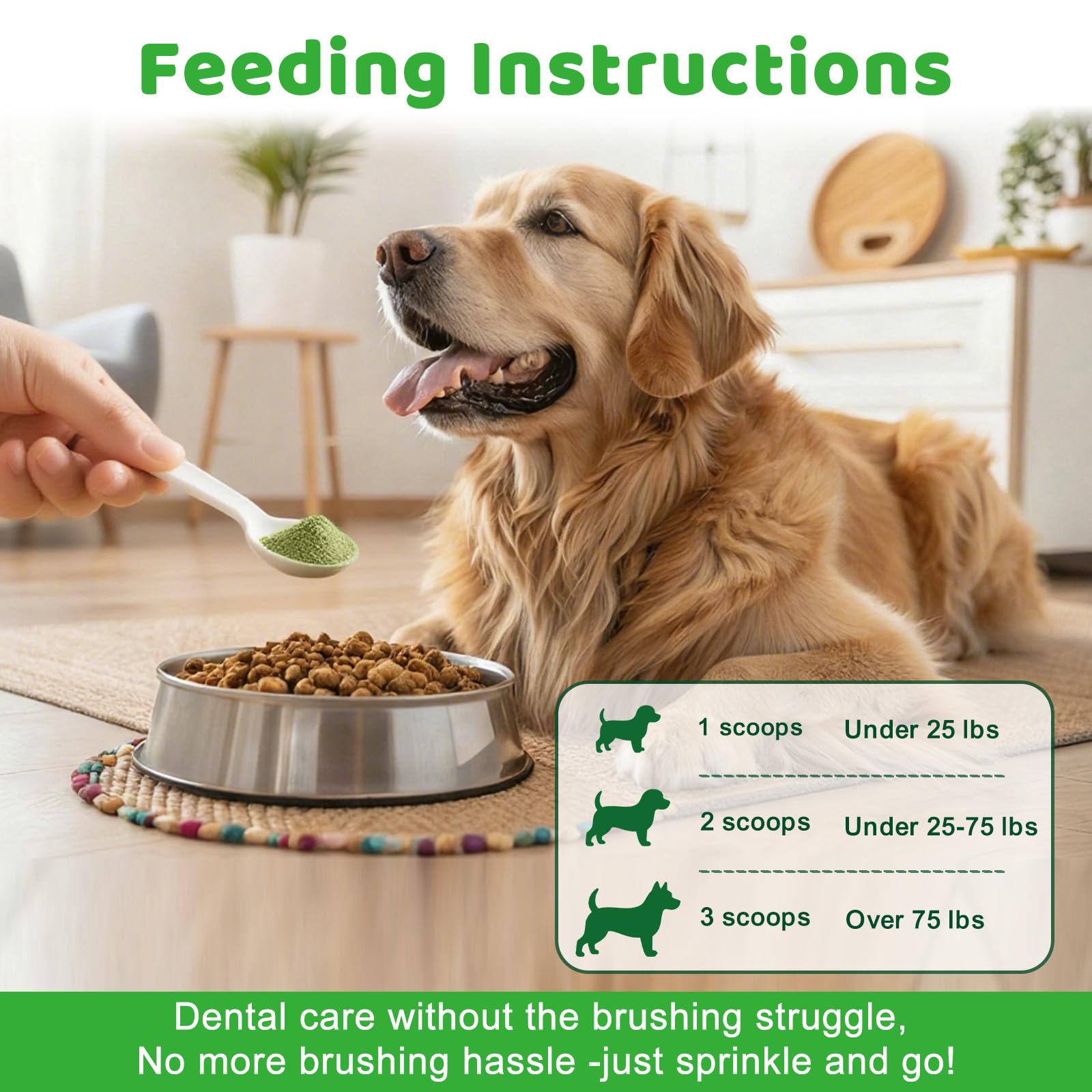Mshuheene dog dental powder being stirred into food demonstrates painless administration.