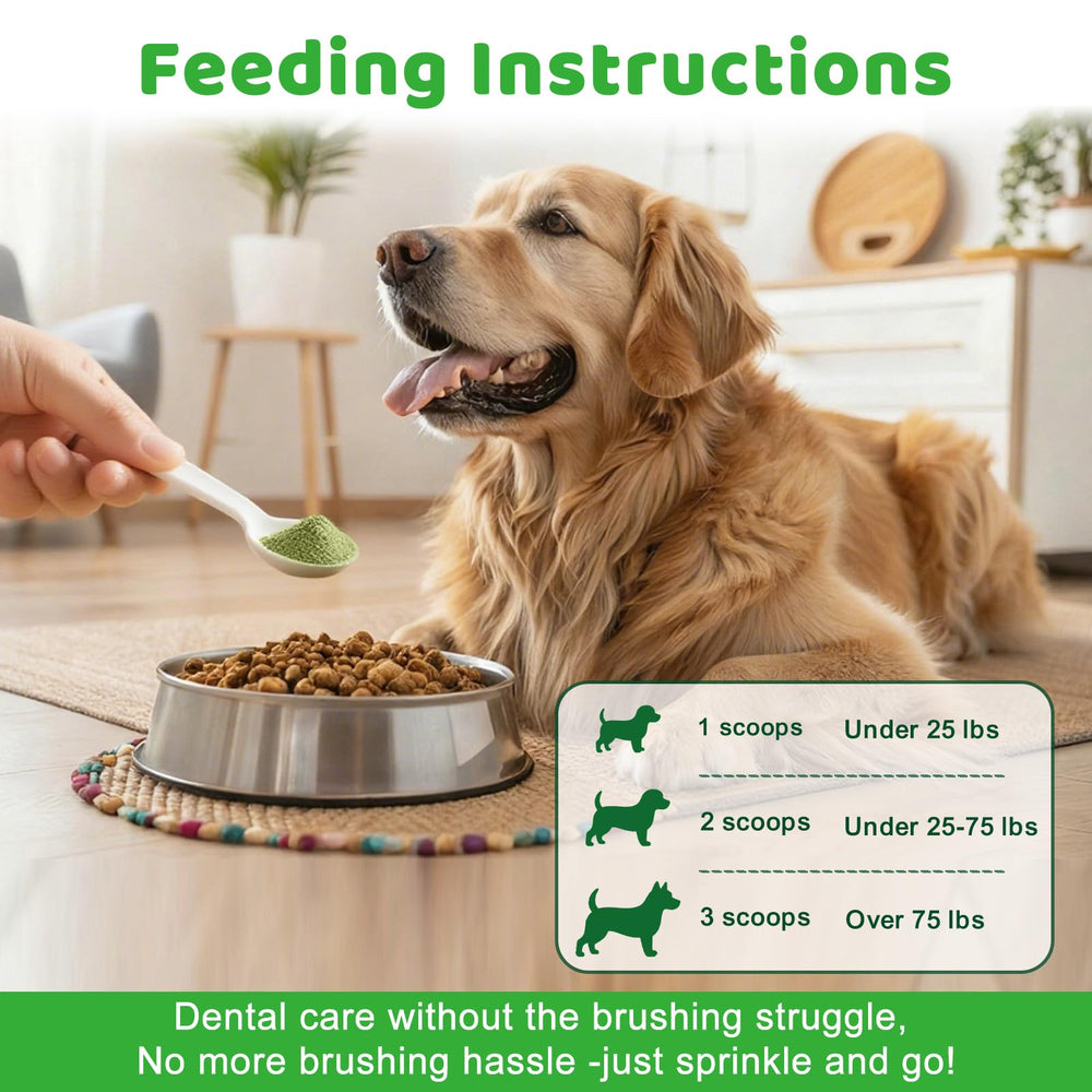 Mshuheene dog dental powder being stirred into food demonstrates painless administration.