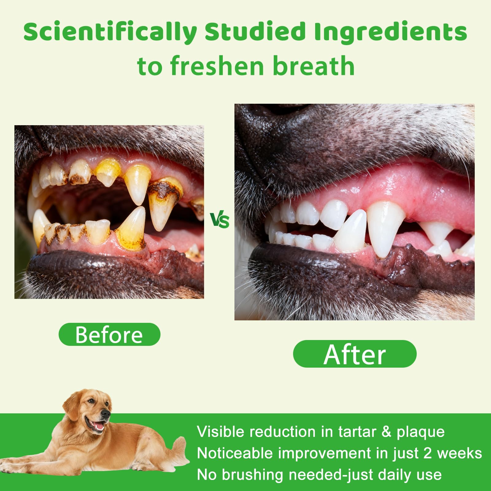Mshuheene dog dental powder packaging emphasizes a 60-day supply.