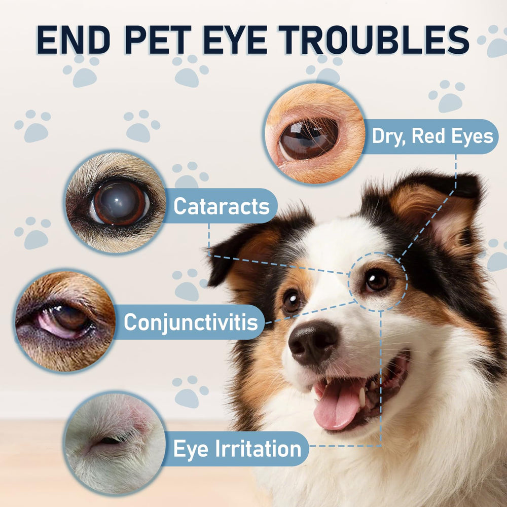 Msktasy eye-relief-for-pets image demonstrates soothing relief for itchy eyes