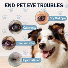 Msktasy eye-relief-for-pets image demonstrates soothing relief for itchy eyes