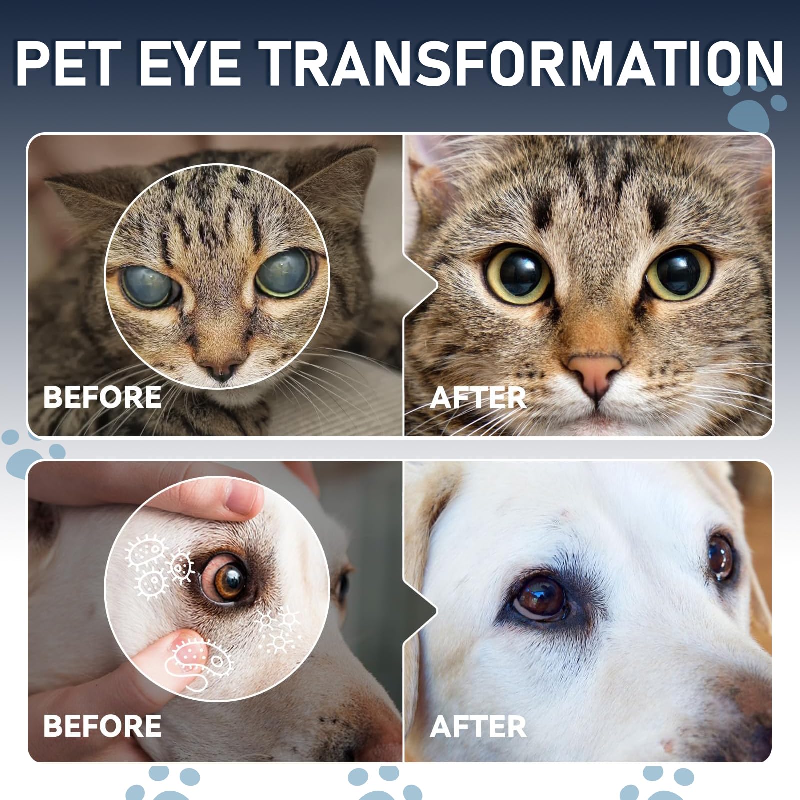 Msktasy lens-health-support image highlighting pet eye care