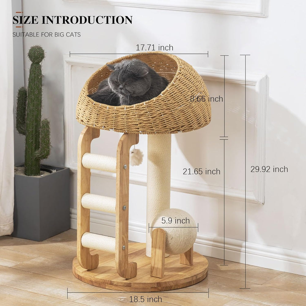 MSNWCAAAT hand-woven-basket offers a private retreat for cats.