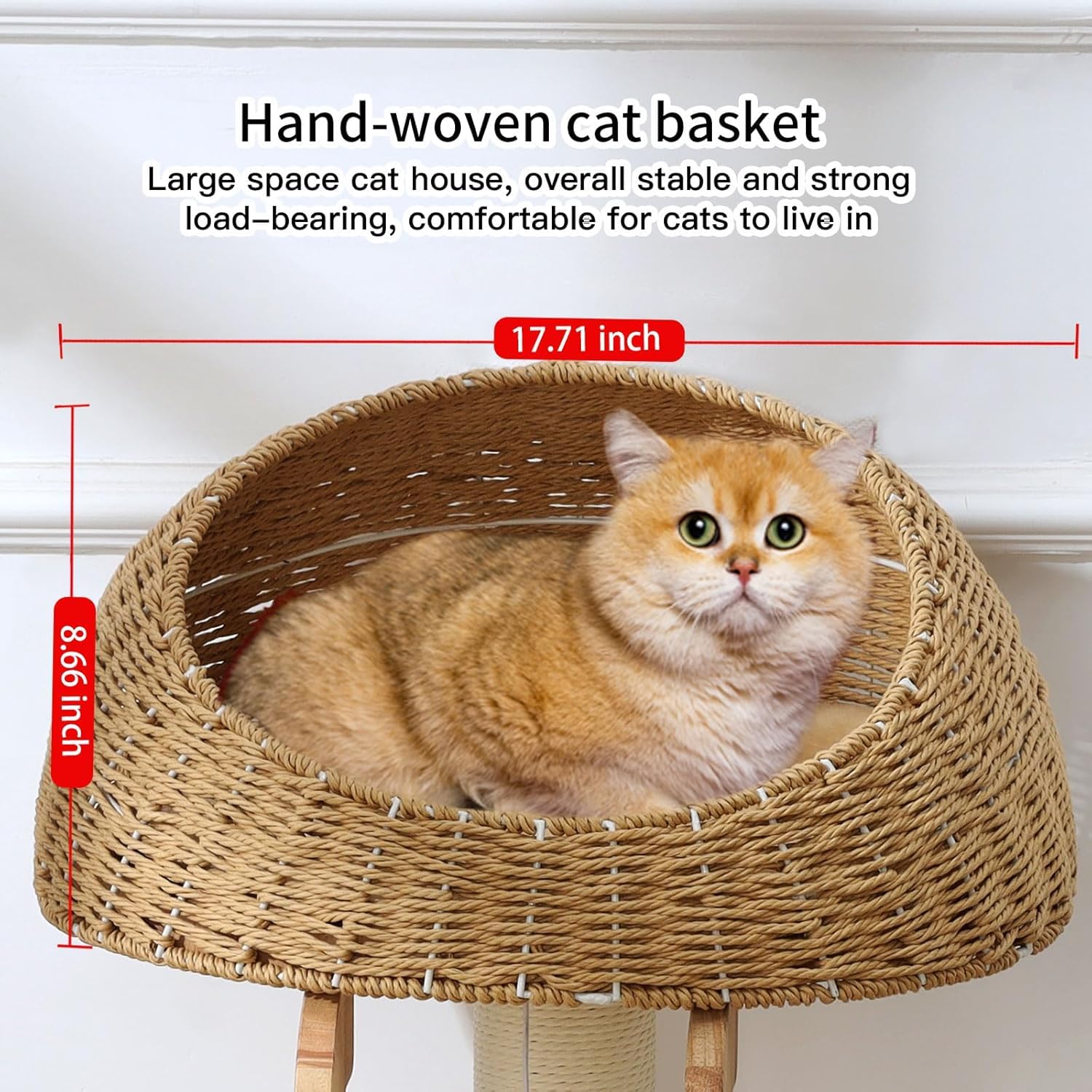 MSNWCAAAT modern cat tree wood-base provides sturdy balance during climbs.