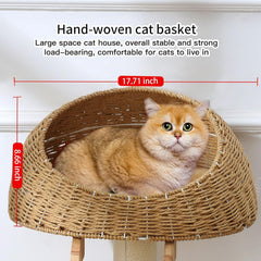 MSNWCAAAT modern cat tree wood-base provides sturdy balance during climbs.