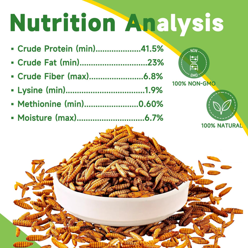 MTART BSF larvae crushed for chicks shows calcium-rich growth support