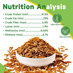 MTART BSF larvae crushed for chicks shows calcium-rich growth support