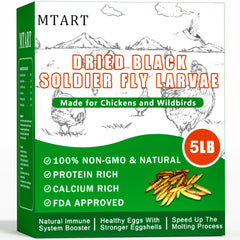MTART BSF larvae treat in a bowl highlighting protein boost for poultry health