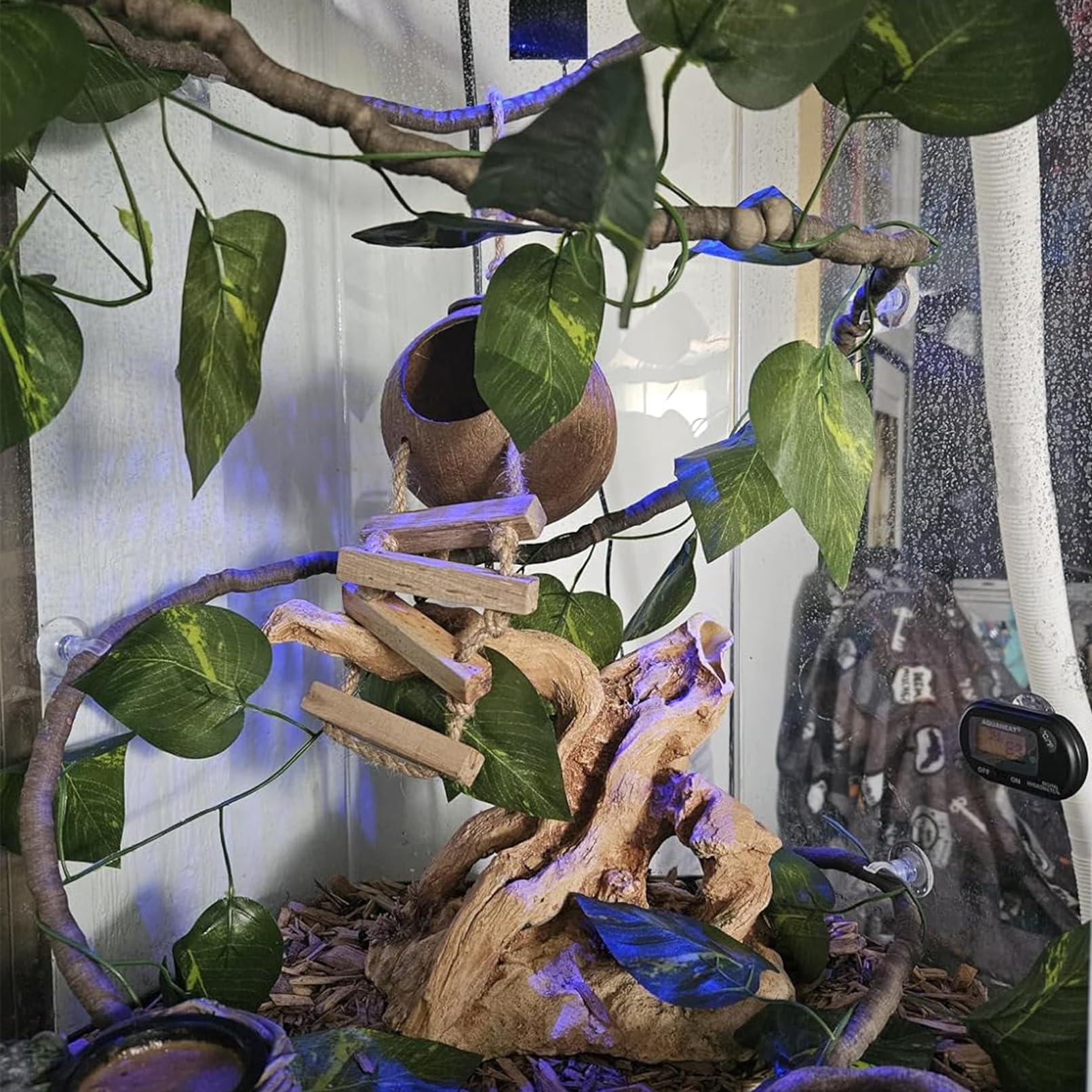 MUYG flexible-bend-a-branch-jungle-vines enables customizable climbing layouts.