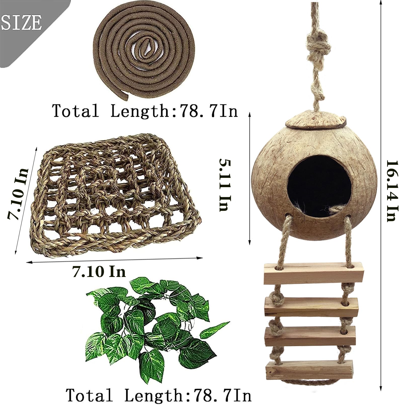 MUYG gecko-hammock-square-1 offers an elevated resting spot and gentle enrichment.