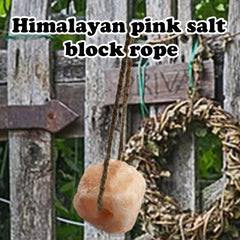 MUYG Himalayan salt lick closeup pink rock shows trace minerals for balance.
