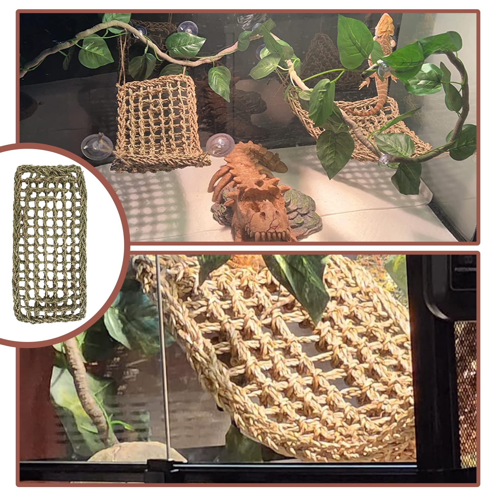 MUYG suction cups and twine kit keeps decor secure in tanks