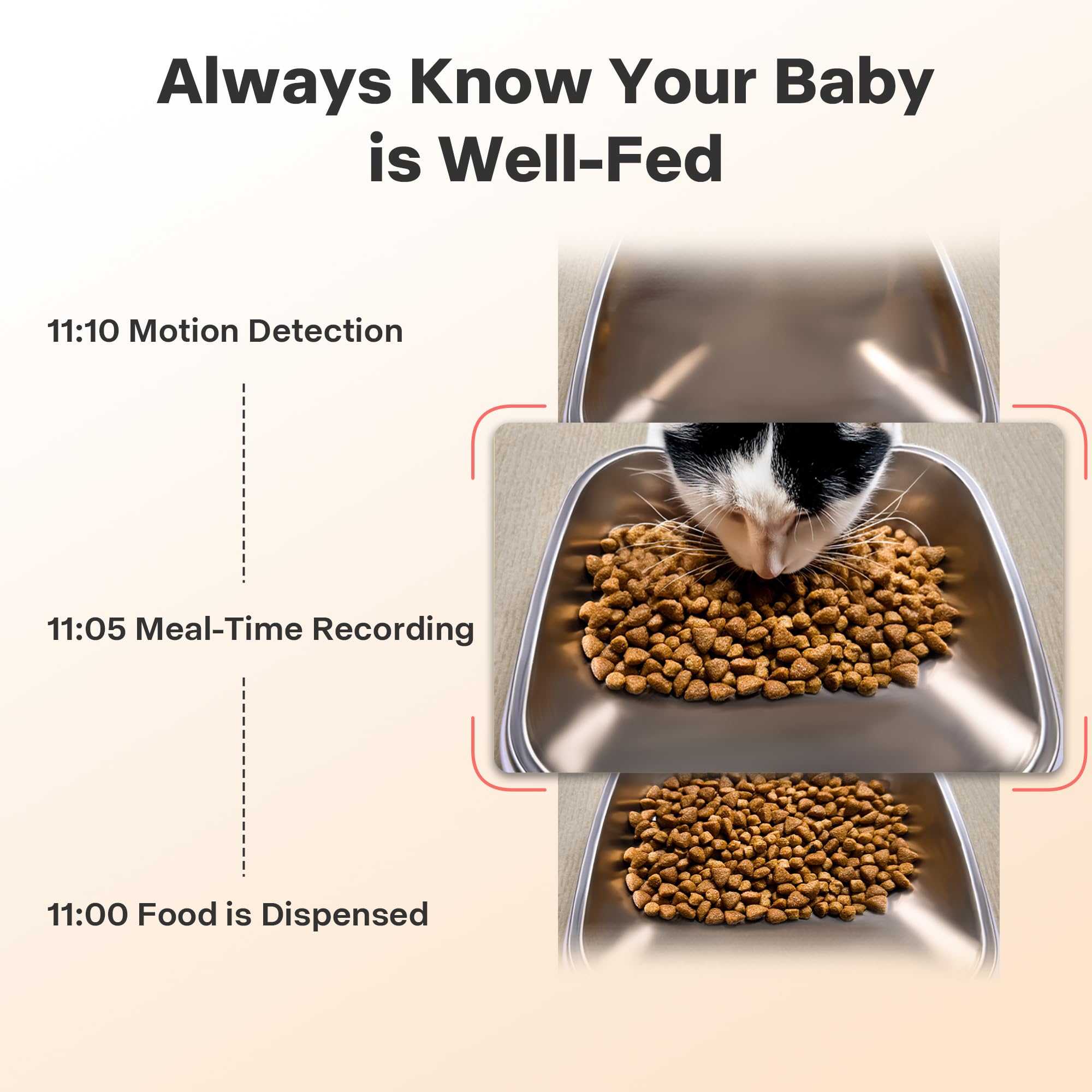 MUBBI app control panel for meal settings and scheduling