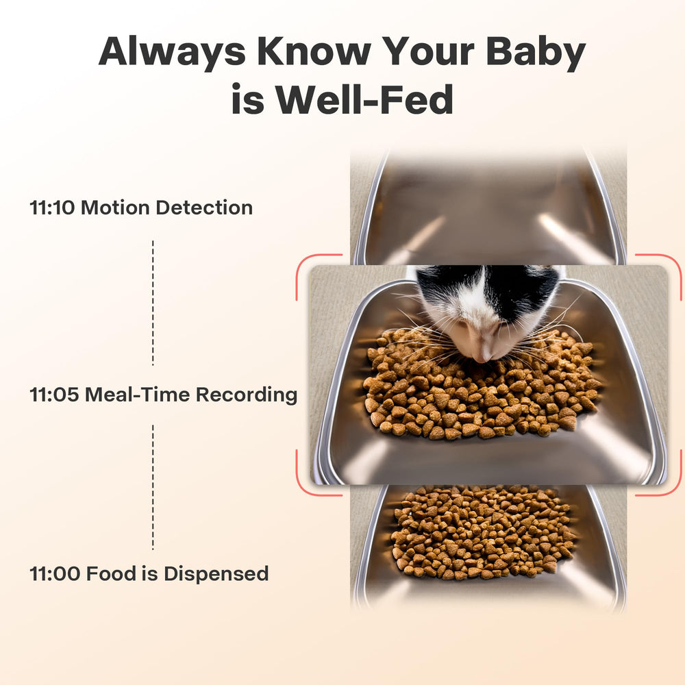 MUBBI app control panel for meal settings and scheduling