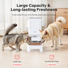 MUBBI six-meal schedule lets you portion meals across the day