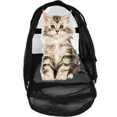 MuchL pet carrier removable base insert provides a solid stand