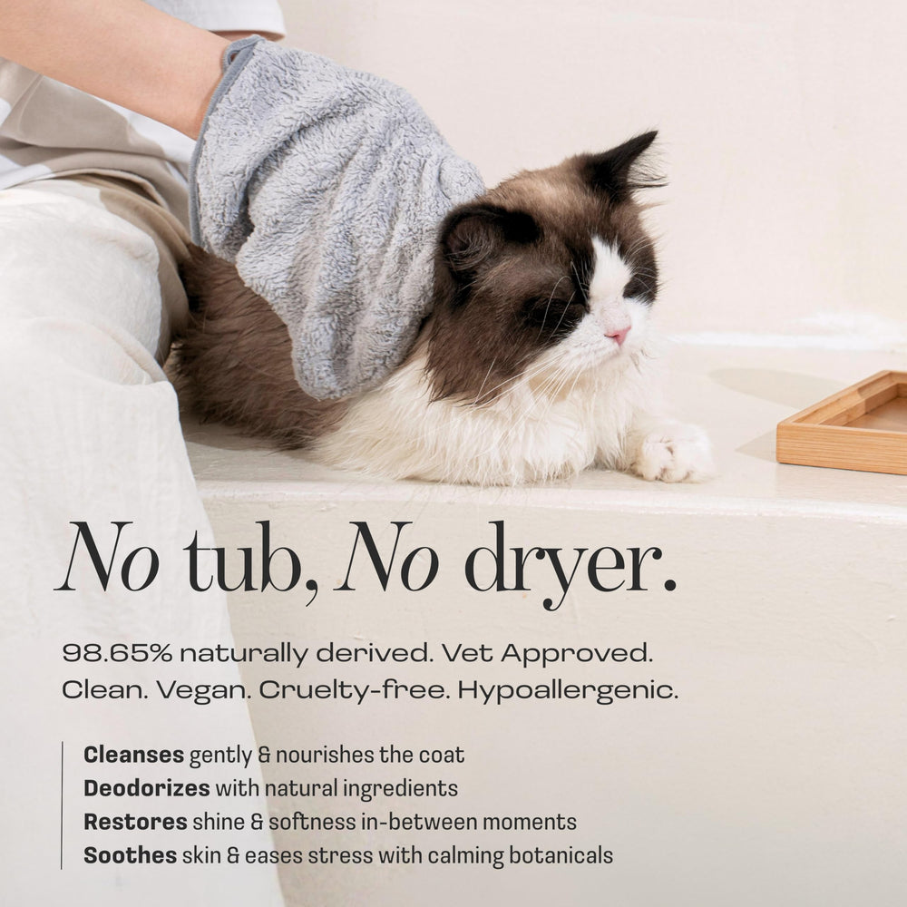 Muddi Pet bath mitt grooming glove shows even serum distribution for calm grooming.