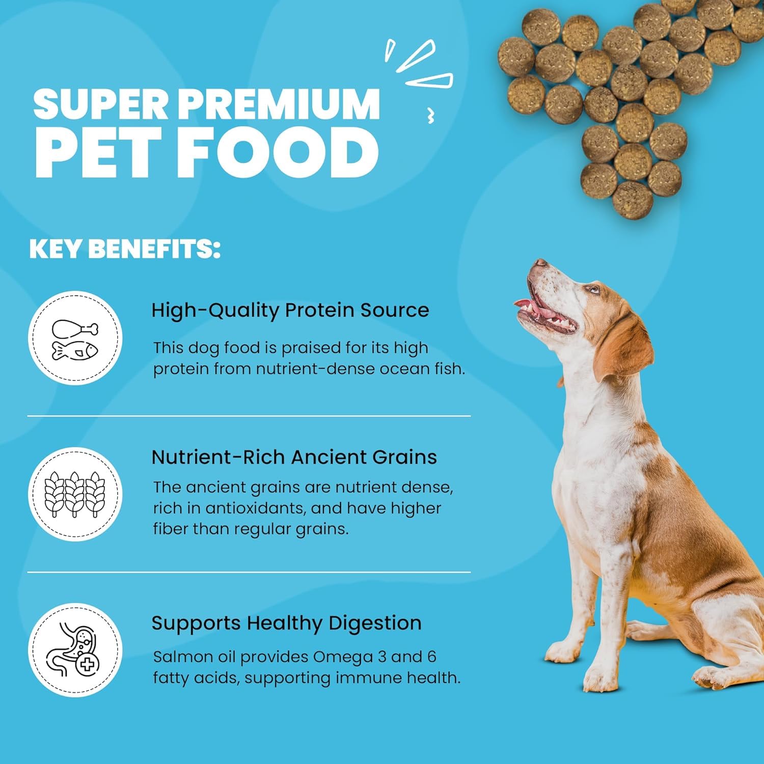 Muenster Ancient Grains Ocean Fish digestive-support image with prebiotics and probiotics.