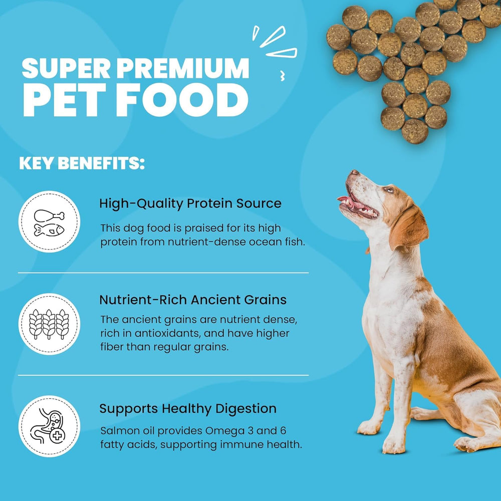 Muenster Ancient Grains Ocean Fish digestive-support image with prebiotics and probiotics.